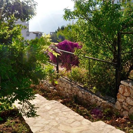 Eagle Nest Διαμέρισμα Κας Εξωτερικό φωτογραφία